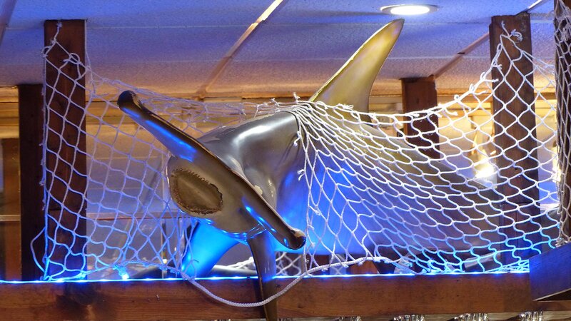 Fake hammer head shark in net decoration